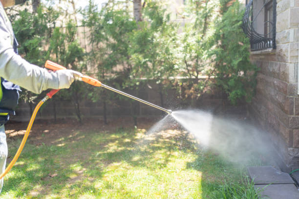 Best Best Pest Control Companies  in Pearl River, LA