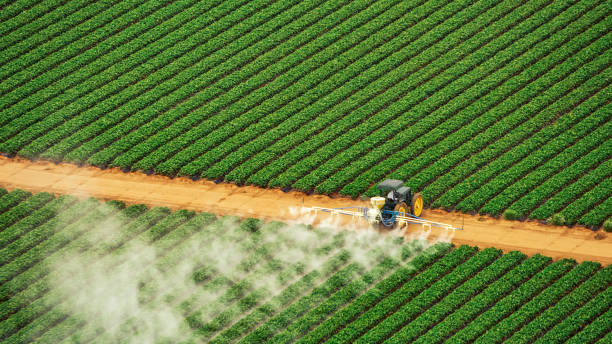 Reliable Pearl River, LA Pest Control Solutions