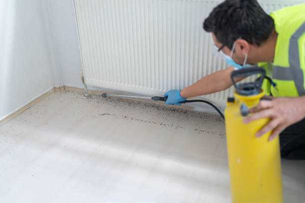 Pest Control for Restaurants in Pearl River, LA